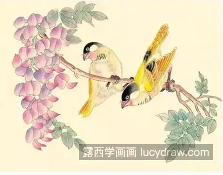 金丝雀怎么画？芙蓉鸟的绘画步骤有几步？