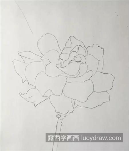 白色栀子花怎么画？彩铅图文步骤有哪些？