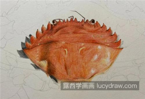 彩铅螃蟹怎么画？具体有哪些绘画步骤？