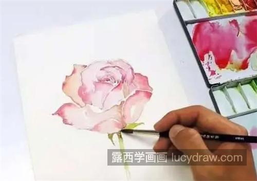 有仙气的玫瑰花怎么画？五步教你画一支粉玫瑰