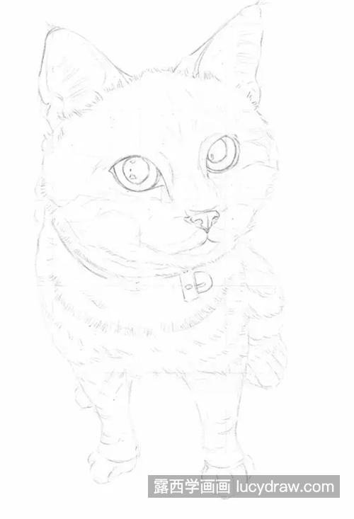素描小猫怎么画？如何画好动物素描？