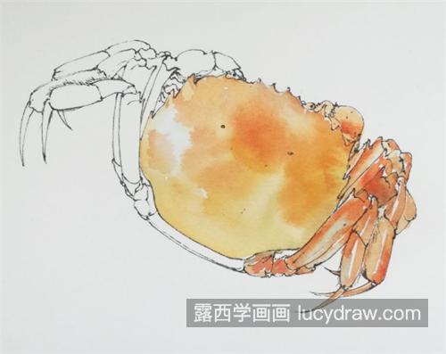 水彩螃蟹怎么画？详细的图文步骤有哪些？