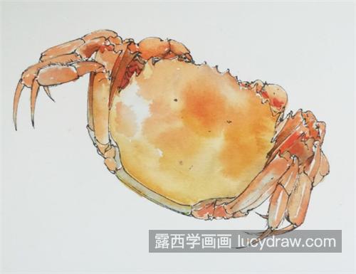 水彩螃蟹怎么画？详细的图文步骤有哪些？