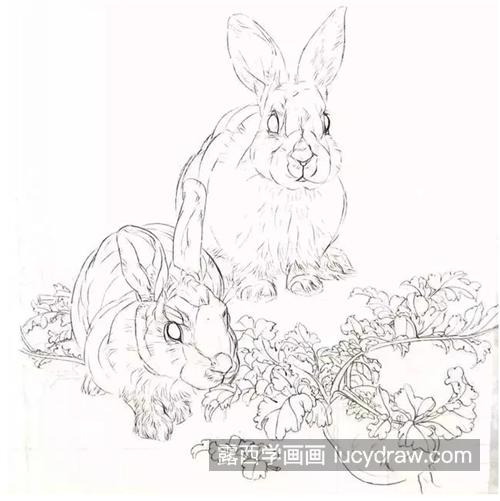 毛茸茸的兔子怎么画？有哪些工笔绘画步骤？