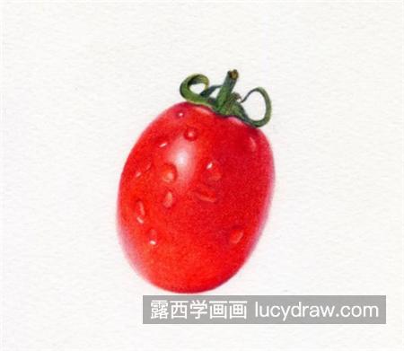 圣女果怎么画？小番茄的彩铅画教程是什么？