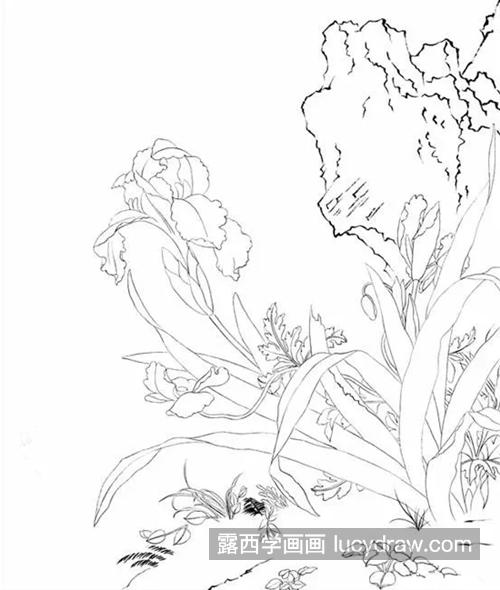虞美人蝴蝶兰怎么画？两种花卉的详细工笔画教程是什么？