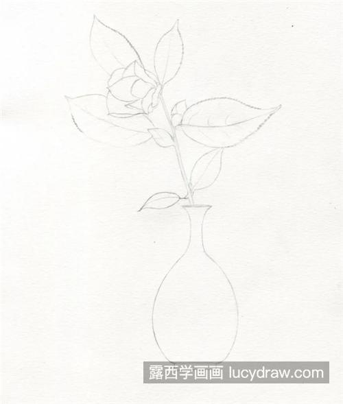 淡雅的山茶花怎么画？茶花的详细绘画步骤是什么？