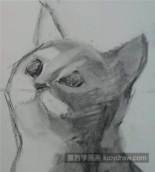 怎么画素描猫咪？小猫的素描画法是什么？