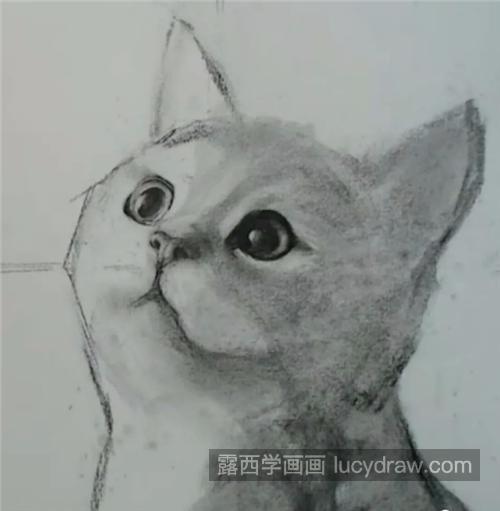 怎么画素描猫咪？小猫的素描画法是什么？