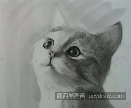 怎么画素描猫咪？小猫的素描画法是什么？