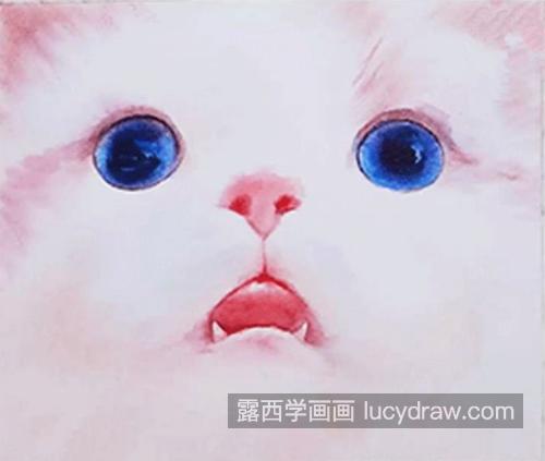 蓝眼睛喵咪怎么画？粉嫩小猫的水彩步骤有几步？