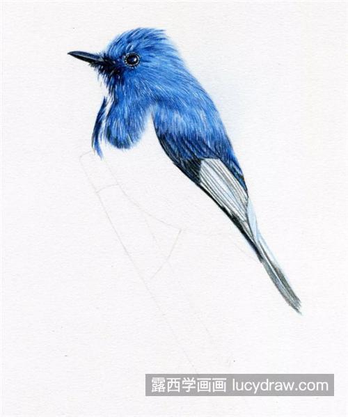 蓝色小鸟怎么画？教你画一只可爱的小肥啾