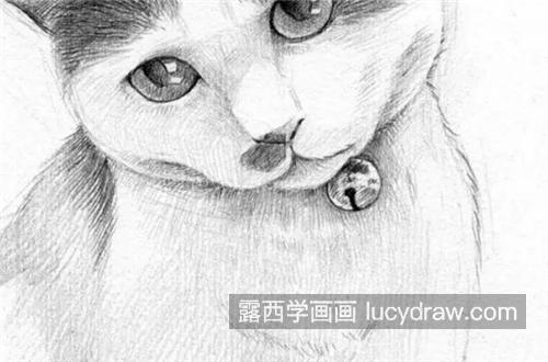 黑白猫咪怎么画？怎样画猫咪毛发？