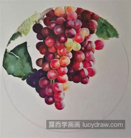 水彩葡萄怎么画？具体的步骤有哪些？