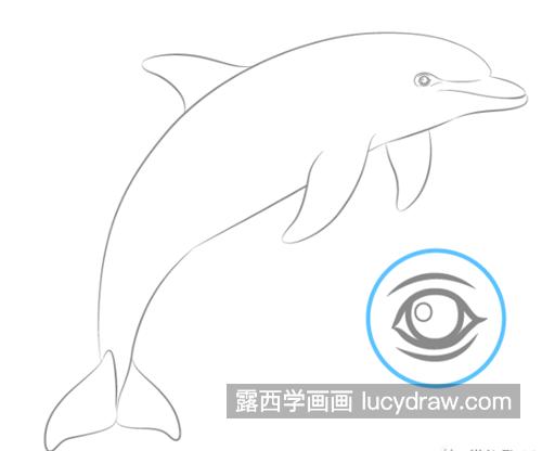 海豚怎么画？简单的海豚画法是什么？