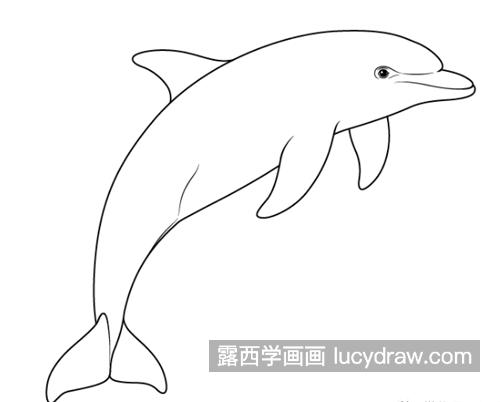 海豚怎么画？简单的海豚画法是什么？