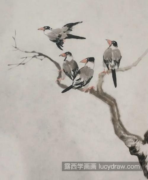 鸟语花香国画怎么画？芙蓉鸟的绘画步骤有哪些？