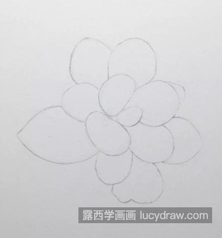 多肉桃蛋怎么画？具体的彩铅画步骤有哪些？