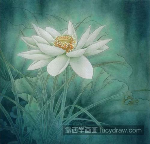 白莲花怎么画？详细的工笔画教程是什么？