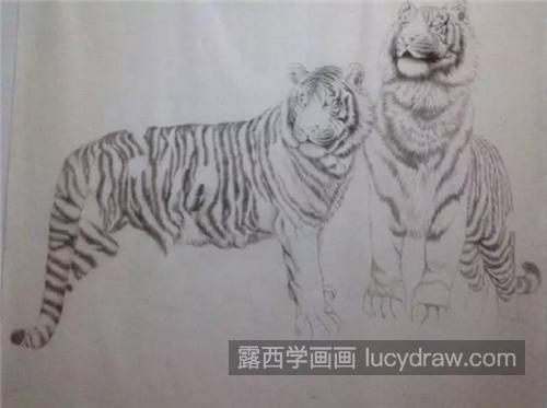 森林猛虎怎么画？超级详细的老虎工笔画图文分享