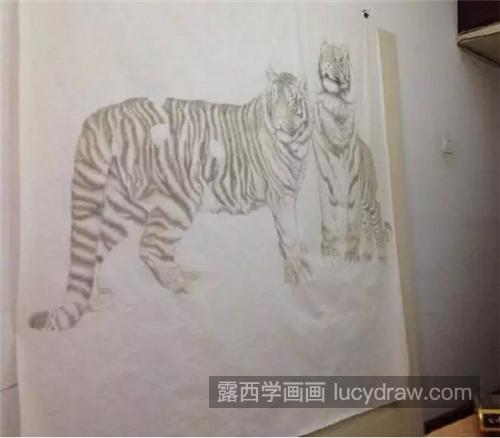 森林猛虎怎么画？超级详细的老虎工笔画图文分享