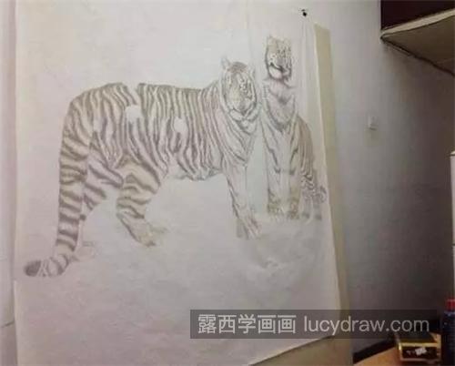 森林猛虎怎么画？超级详细的老虎工笔画图文分享