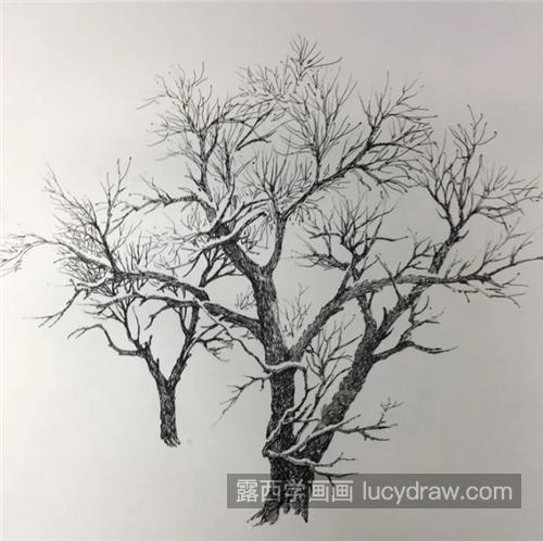 乡村雪景怎么画？有哪些钢笔绘画步骤？