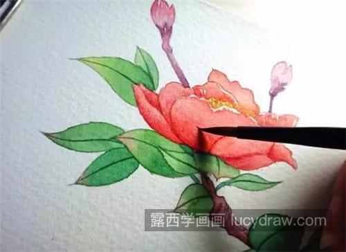 水彩花卉怎么画？具体的绘画步骤有哪些？