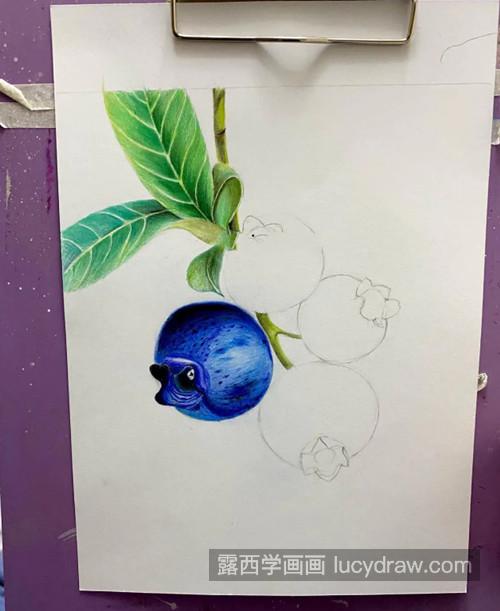 不同状态的蓝莓怎么画？蓝莓的彩铅画步骤有哪些？