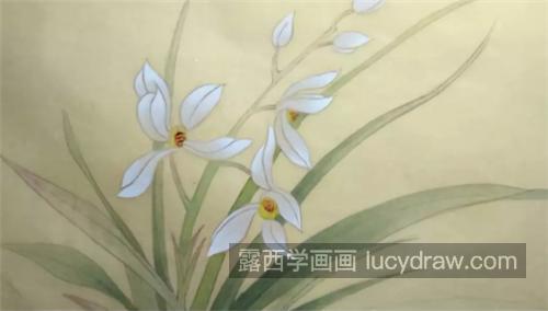 蝴蝶和兰花怎么画？具体的工笔画步骤有哪些？