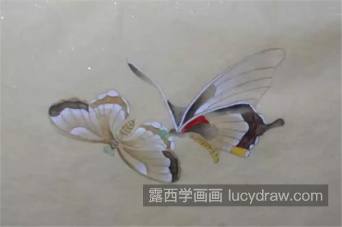 蝴蝶和兰花怎么画？具体的工笔画步骤有哪些？