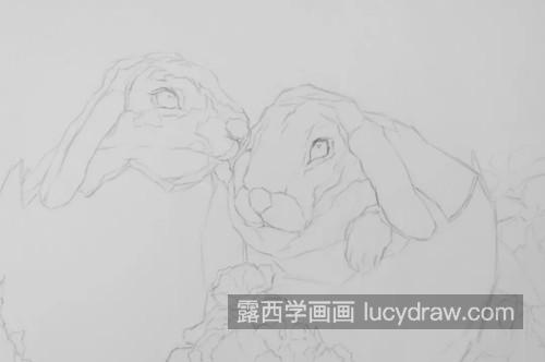 相互依偎的两只兔子怎么画？兔子素描步骤有哪些？