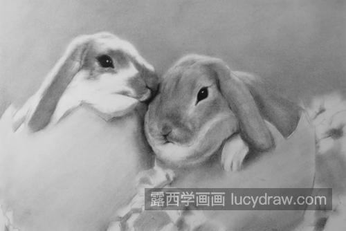 相互依偎的两只兔子怎么画？兔子素描步骤有哪些？