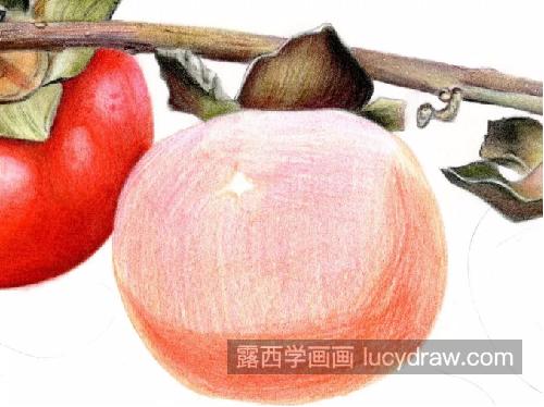 软柿子怎么画？柿子的彩铅图文步骤有哪些？
