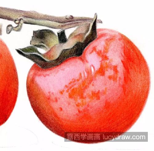 软柿子怎么画？柿子的彩铅图文步骤有哪些？