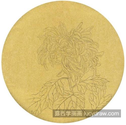 秋菊图怎么画？菊花的工笔步骤有几步？