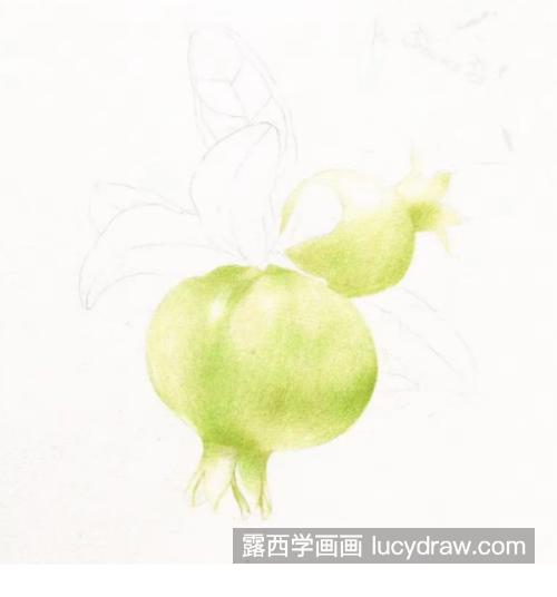 青石榴怎么画？石榴的彩铅画步骤有哪些？