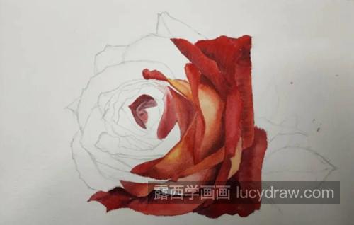 水彩玫瑰怎么画？红玫瑰的水彩步骤有哪些？