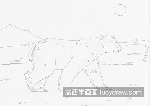 北极熊怎么画？北极熊的绘画流程是什么？