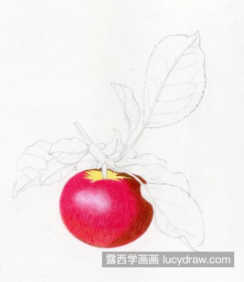红苹果怎么画？详细的彩铅画教程是什么？