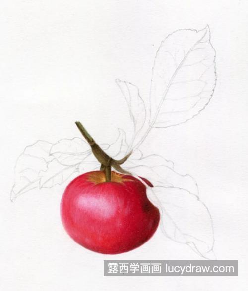 红苹果怎么画？详细的彩铅画教程是什么？