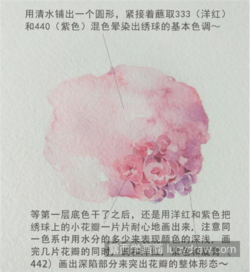 绣球花怎么画？具体有哪些绘画步骤？