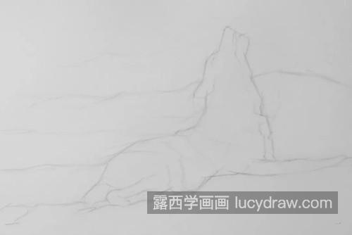 孤狼怎么画？有哪些素描步骤？