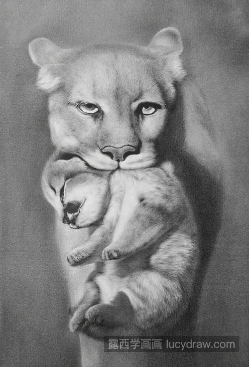 素描狮子怎么画？母子情深场景如何画？