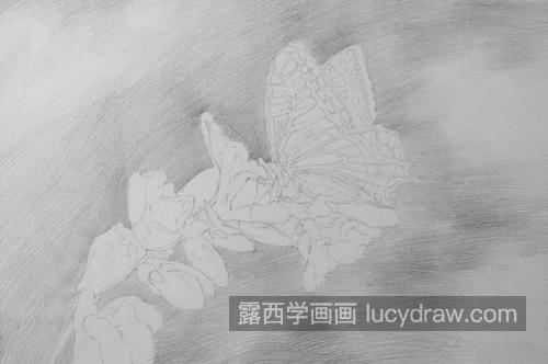 蝶恋花怎么画？蝴蝶兰花的素描流程是什么？