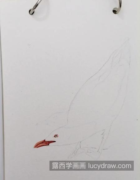 海鸥怎么画？简单的水彩画步骤有几步？