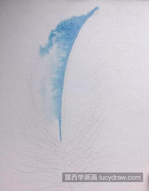 蓝色羽毛怎么画？如何画出飘逸的感觉？
