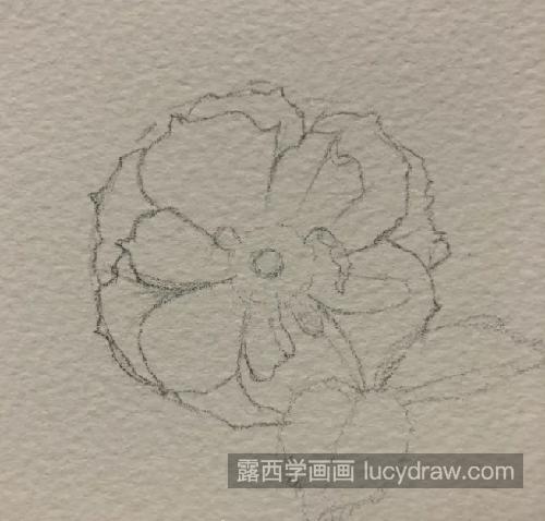 粉色小花朵怎么画？如何临摹水彩花朵？