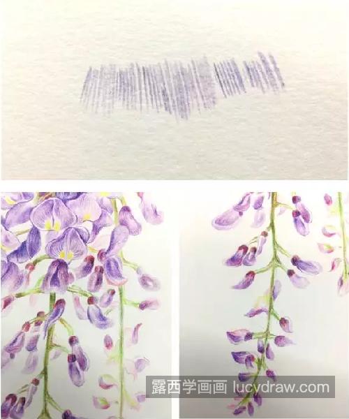 紫藤花怎么画？有哪些绘画步骤？