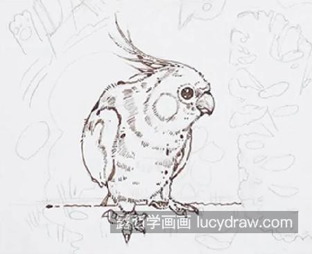 玄凤鹦鹉怎么画？详细的绘画教程是什么？